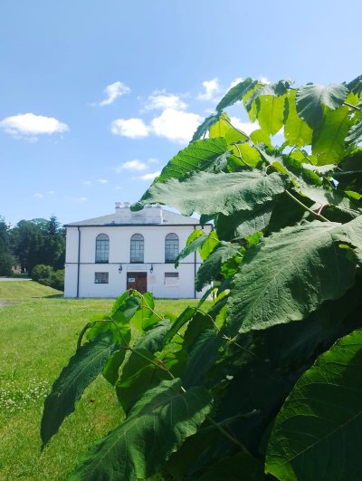 Wojsławickie Klimaty - galeria zdjęć